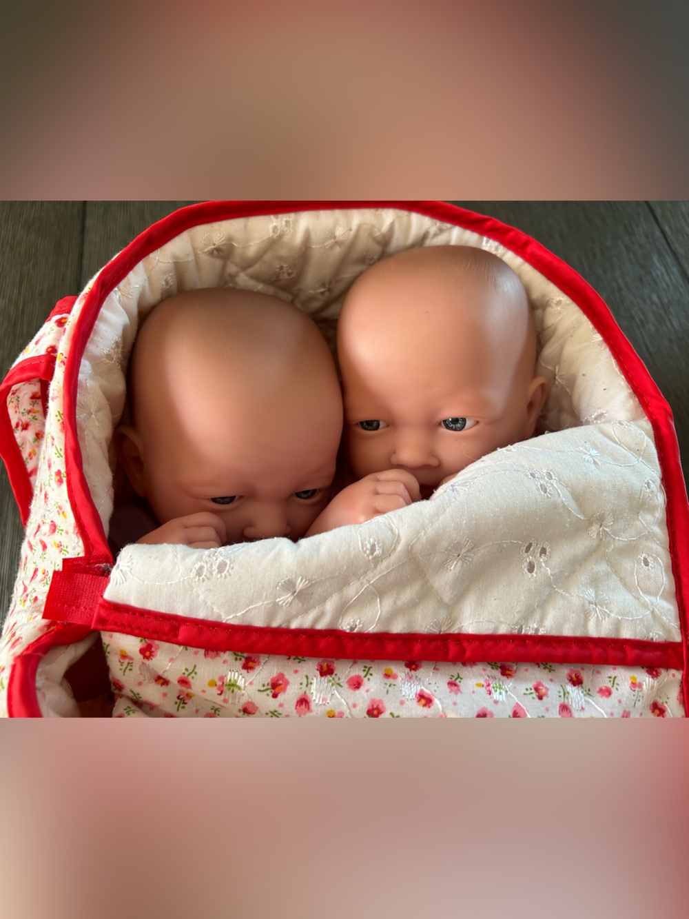 Twins ~ 2 Berenguer Realistic Baby Dolls with Carrier